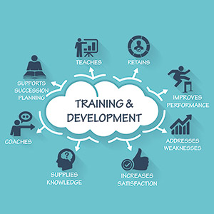 Training and Development