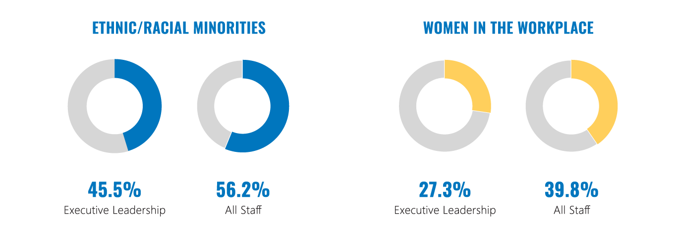 diversity charts